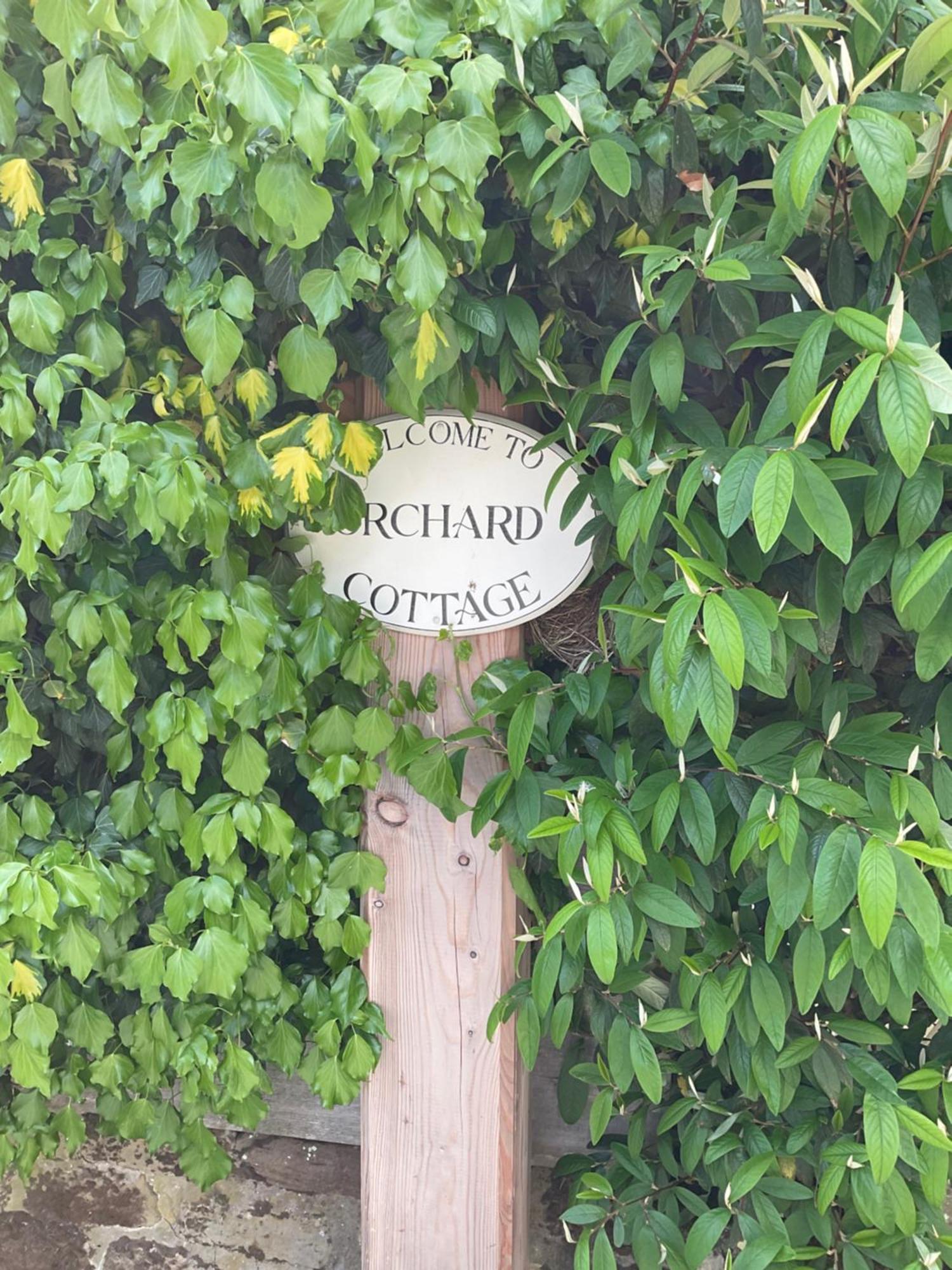 Rosedale Abbey Orchard Houseヴィラ エクステリア 写真
